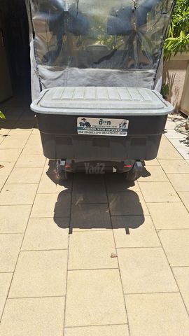 קלנועית