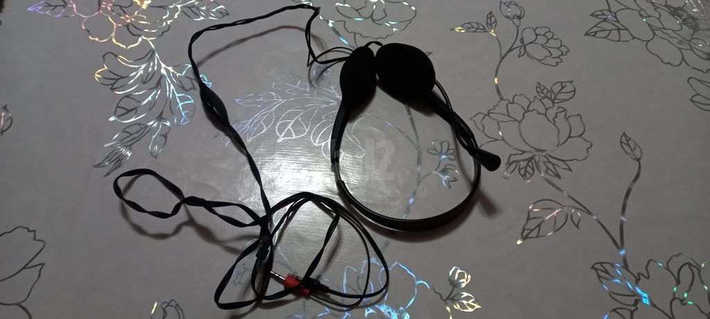 2 אוזניות לשמע