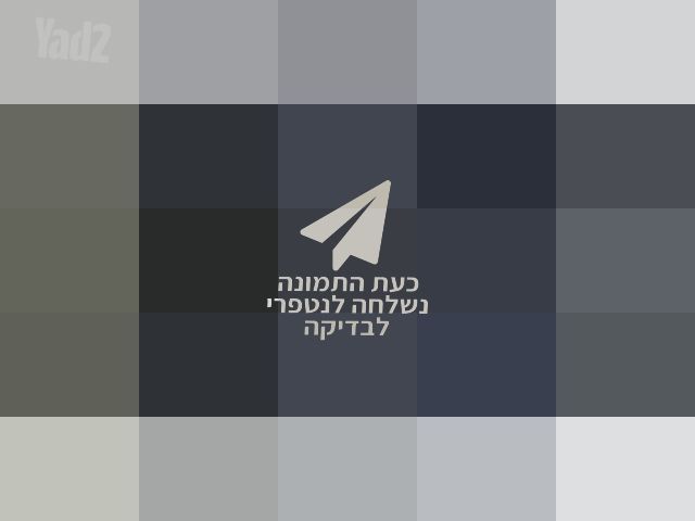 עגלת תאומים