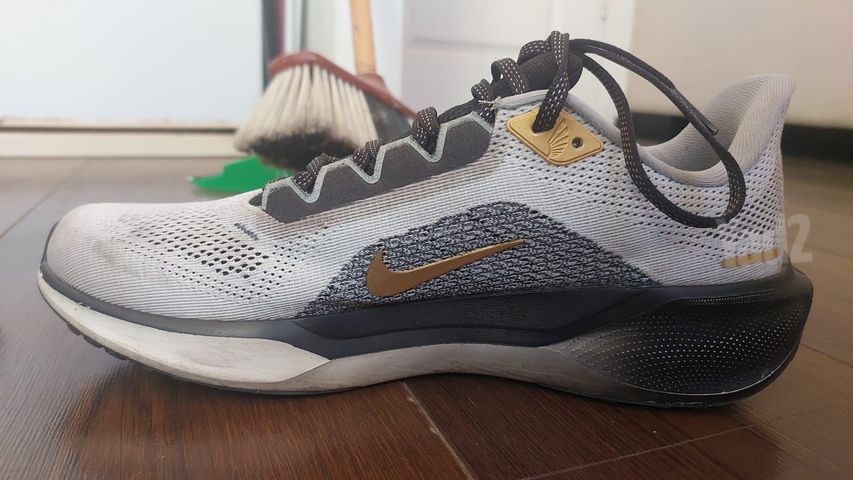 נעלי Nike Pegasus 41