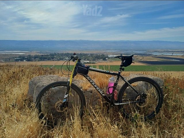 Cannondale SL5, size L, 26"