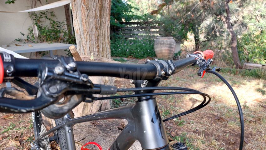 Specialized Rockhopper 29 M