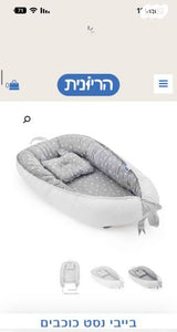 נסט