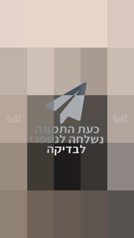 בוגבו Bee5