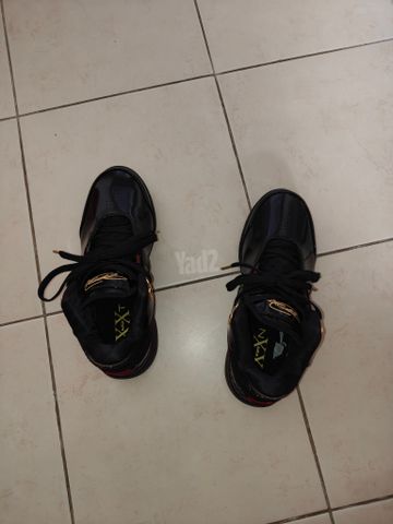 Nike James lebron shoes