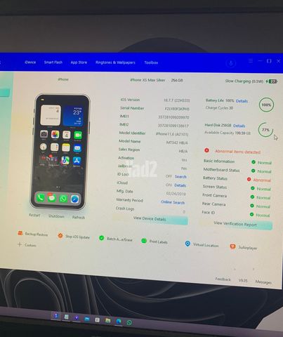 iPhone Xs Max 256GB