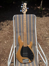 גיטרה בס Sterling ray 35