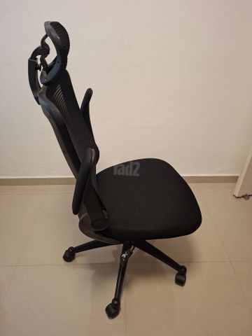 כיסא ד''ר גב