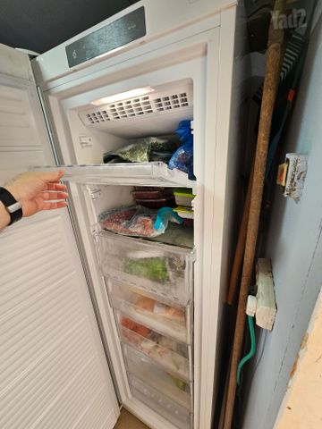 מקפיה