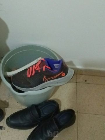נעלי ספורט