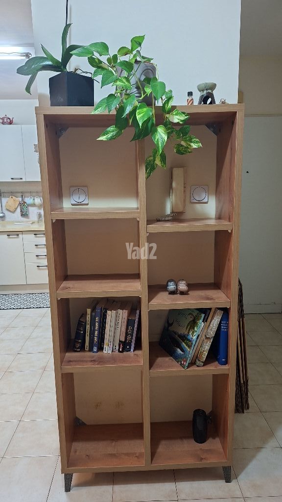 כוננית