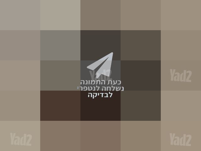 קסדה מקצועית לרכיבה