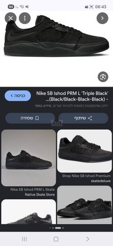 Nike sb ishod