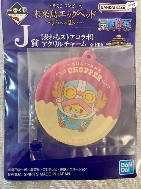 קישוט וואן פיס ONE PIECE