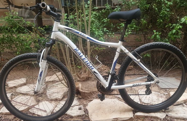 650 RALEIGH - אופני הרים
