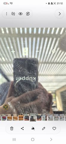 קולט אדים