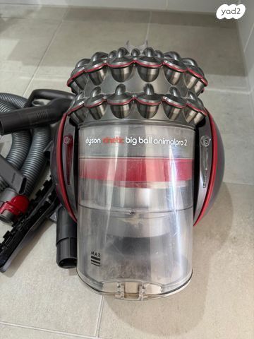 dyson Bigball animalpro 2
