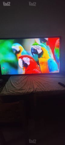טלויזיה 4K LG "55