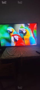 טלויזיה 4K LG "55