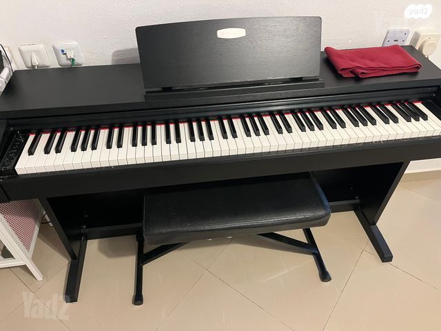פסנתר 🎹 pearl river