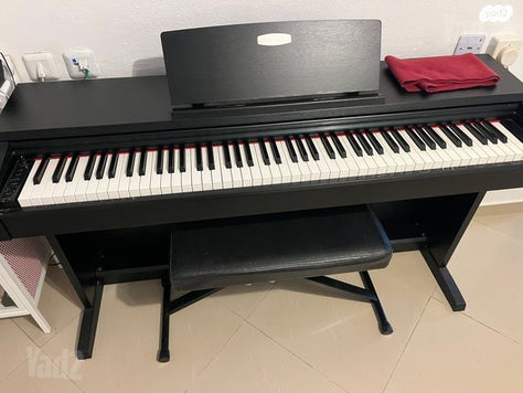פסנתר 🎹 pearl river
