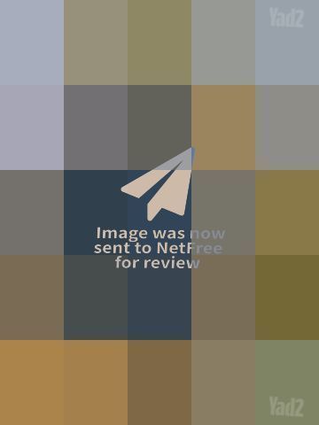 רולר בליידס