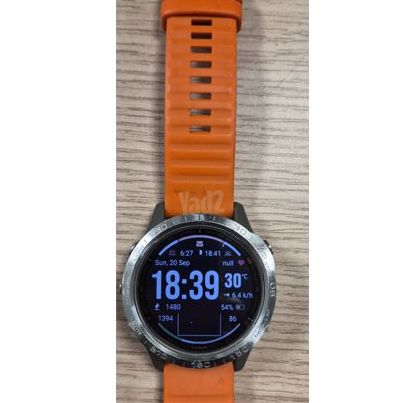 Garmin Fenix 6 Sap Titanium 47