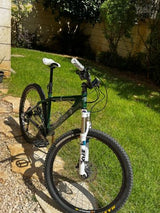 Sata Cruz Chameleon
