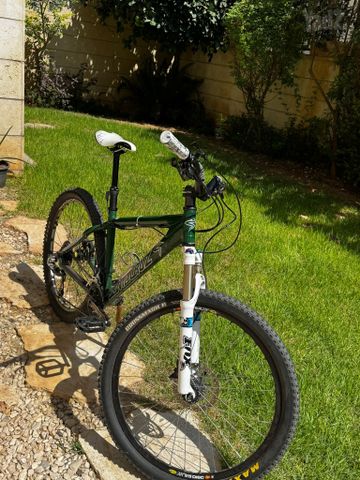 Sata Cruz Chameleon