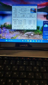 DELL N3010