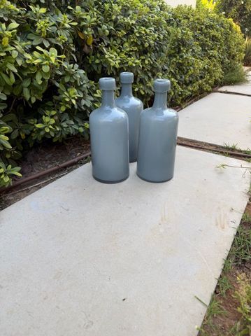 בקבוקי נוי