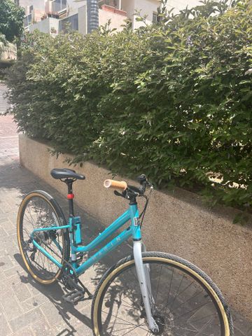 אופני עיר Marin Kentfiled