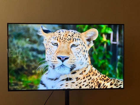 LG OLED 48