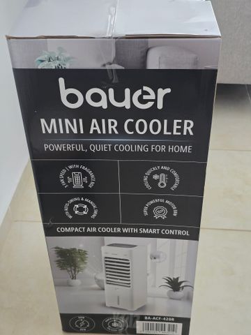 Bauer