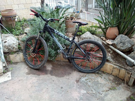 אופני הרים