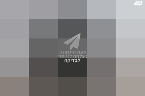 עגלה בוגה בו B5