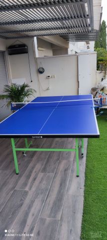 שולחן טניס