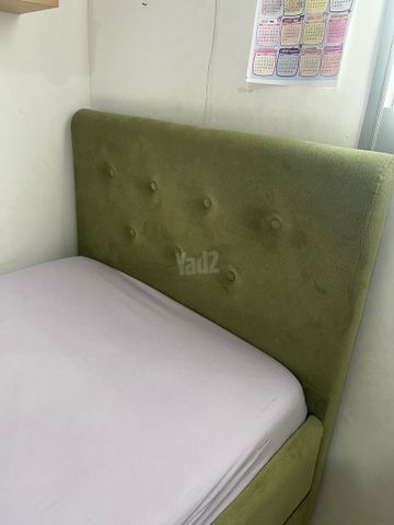 מיטה נוער