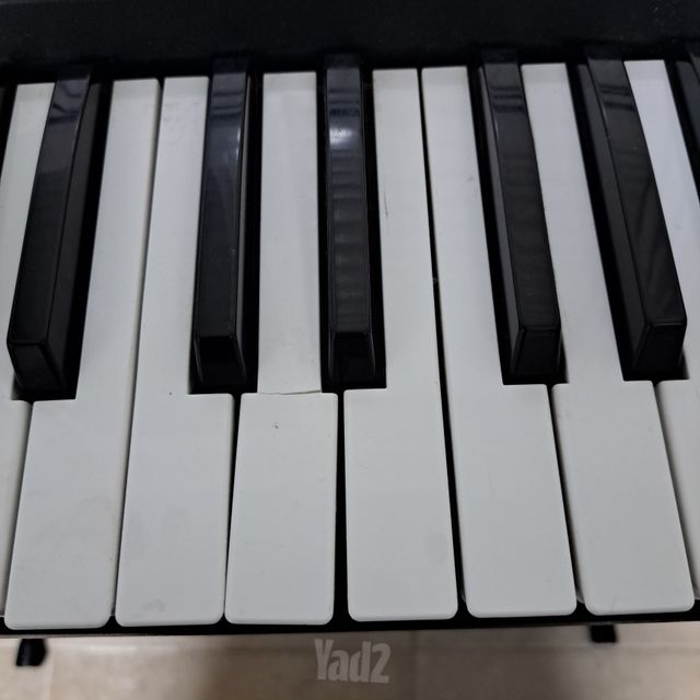 אורגנית korg PA 300