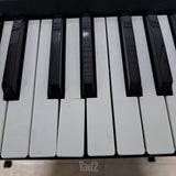 אורגנית korg PA 300