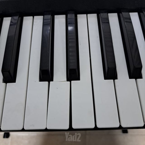 אורגנית korg PA 300