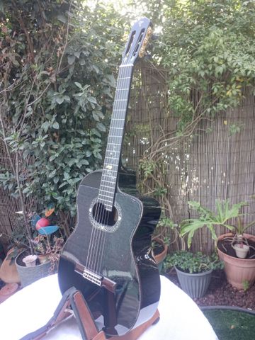 גיטרה יפנית Takamine