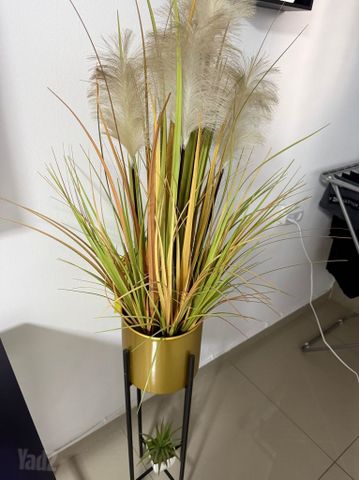 מעמד לעציץ