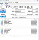 SSD NVMe 256GB M.2 2230