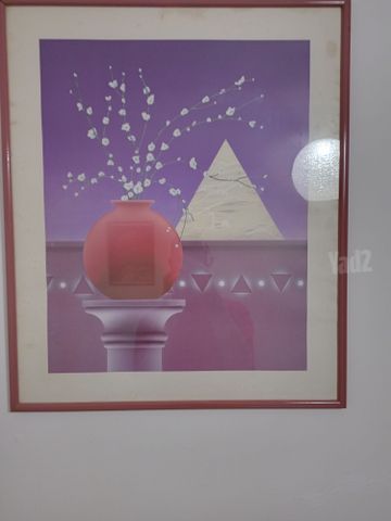אוסף תמונות וינטאז
