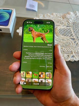 אייפון 17 פרו E-sim 256GB