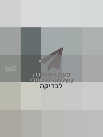 מיקרופון דש