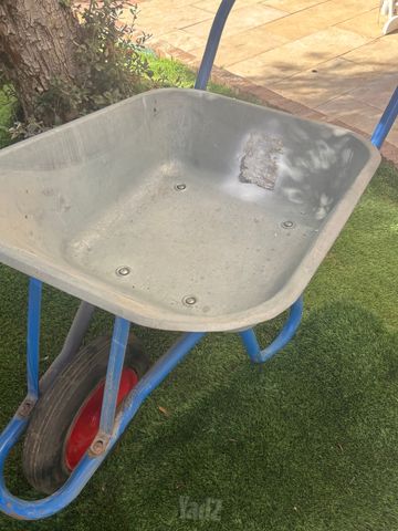 מריצה