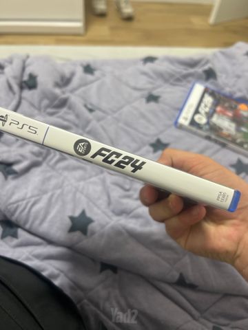 פיפ״א 24