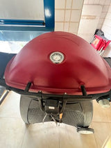 מנגל weber על גז